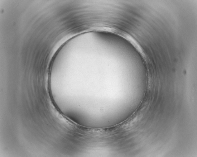 X0000088220955200706051319