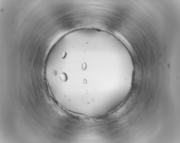 X0000088220956200706051319