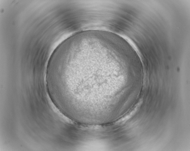 X0000088220957200706051319