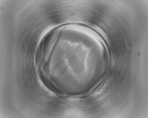 X0000088220958200706051319