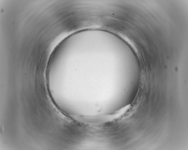 X0000088220959200706051319