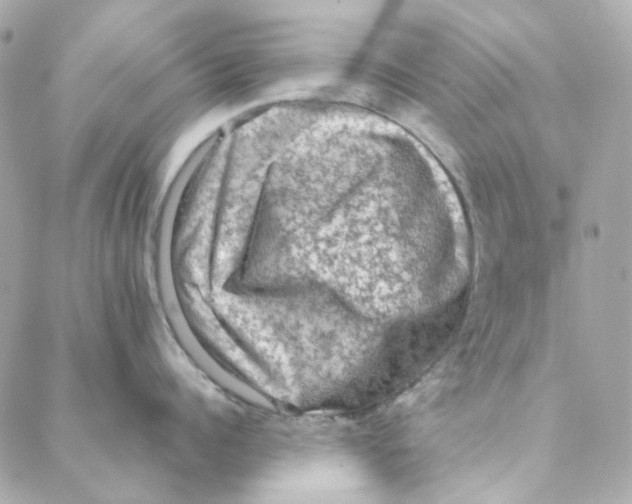 X0000088220960200706051319