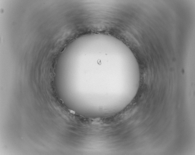 X0000088220961200706051318