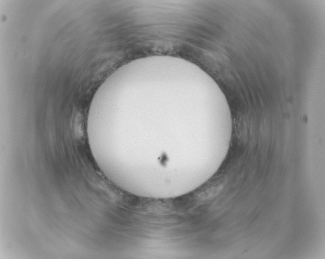 X0000088220962200706051318