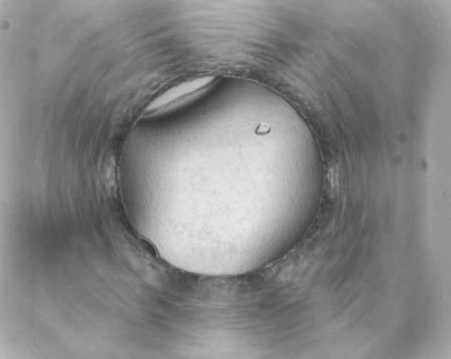 X0000088220963200706051318