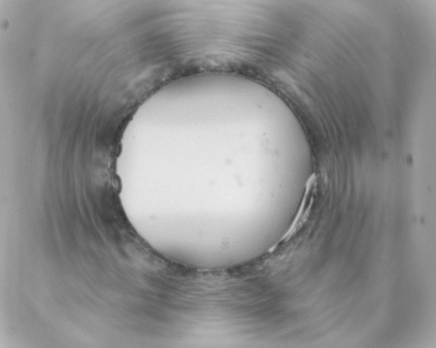 X0000088220964200706051318