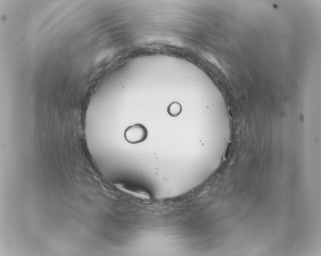 X0000088220965200706051318