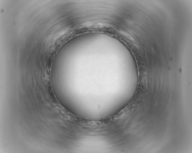 X0000088220966200706051318