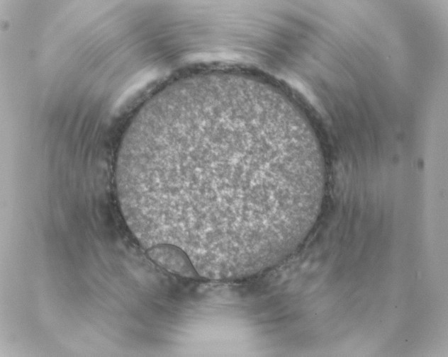 X0000088220967200706051318