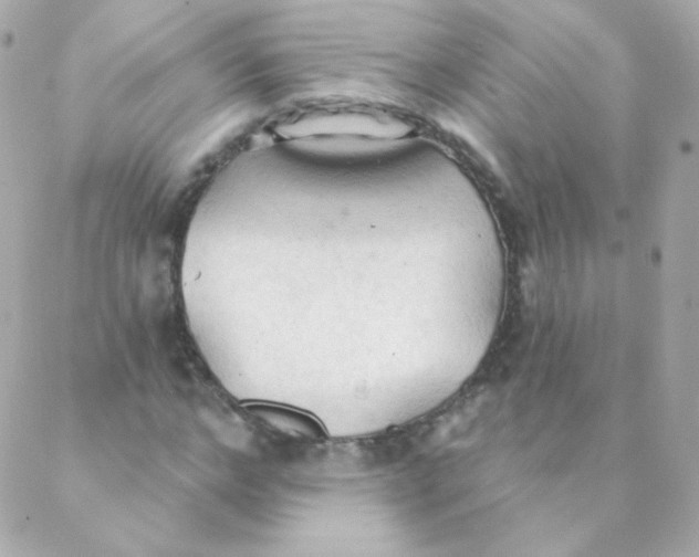 X0000088220968200706051318