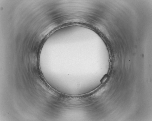 X0000088220969200706051318