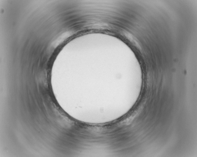 X0000088220970200706051318