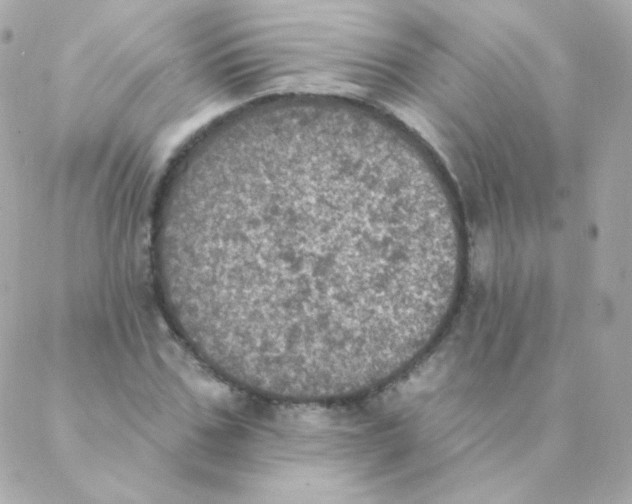 X0000088220971200706051318