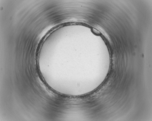 X0000088220972200706051318