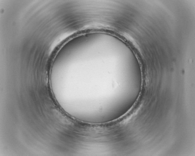 X0000088220973200706051318