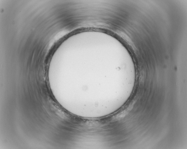 X0000088220974200706051318