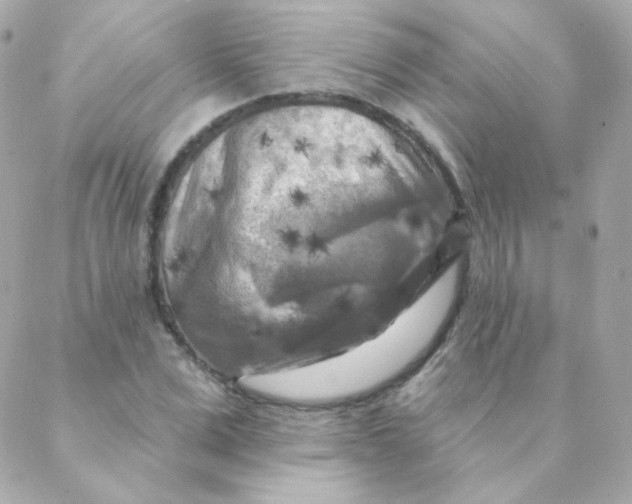 X0000088220975200706051318