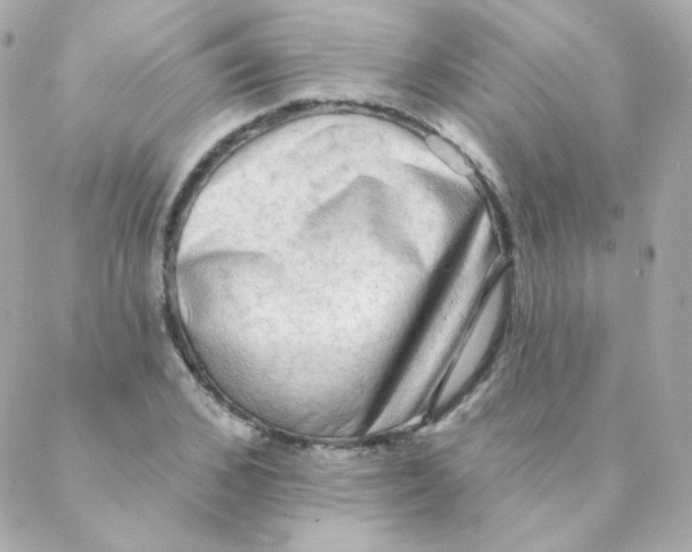 X0000088220976200706051318