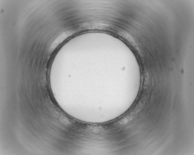 X0000088220978200706051318