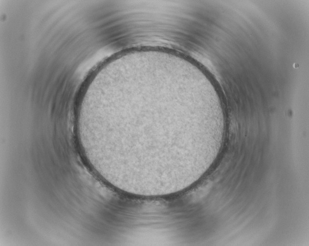 X0000088220979200706051318