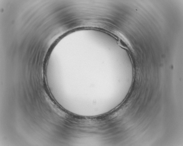 X0000088220980200706051318