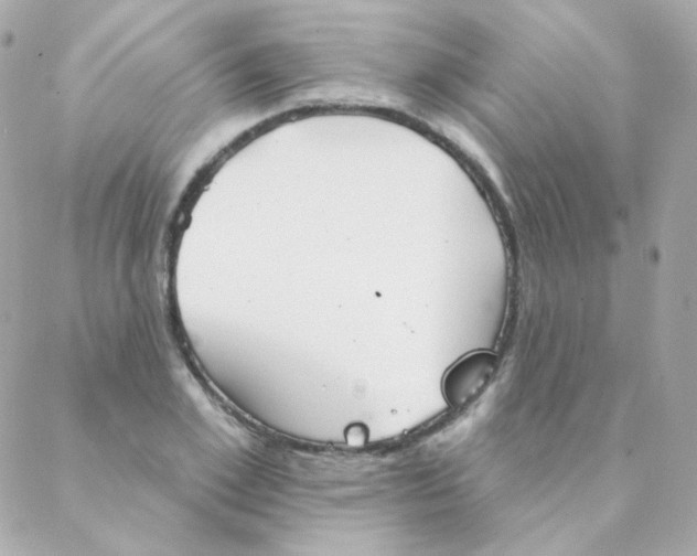 X0000088220981200706051318