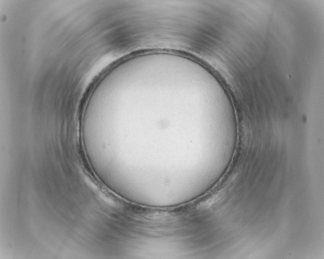 X0000088220982200706051318