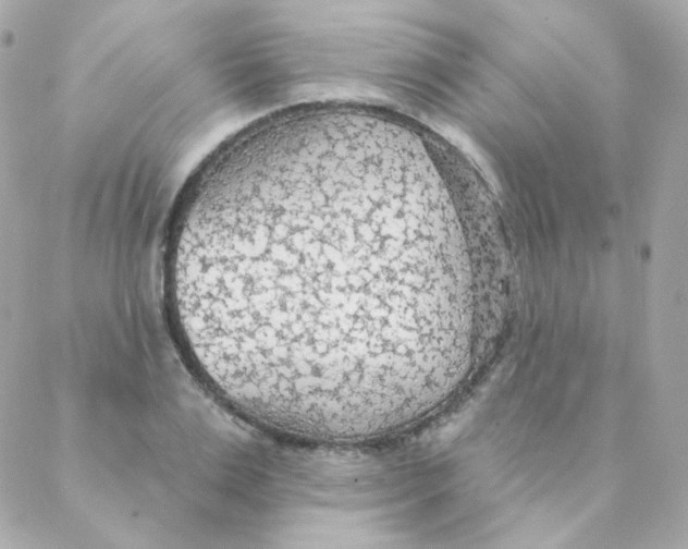 X0000088220983200706051318