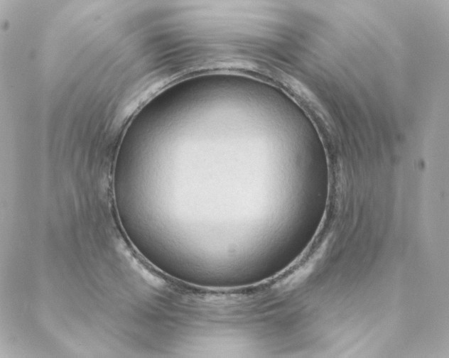 X0000088220985200706051318