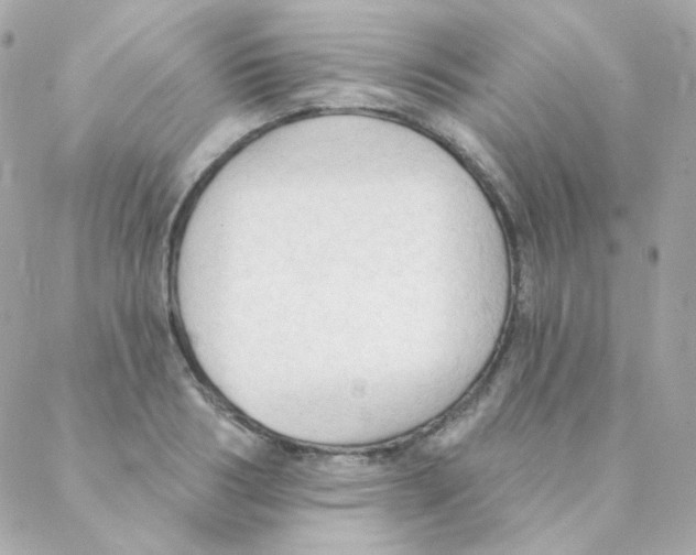 X0000088220986200706051318