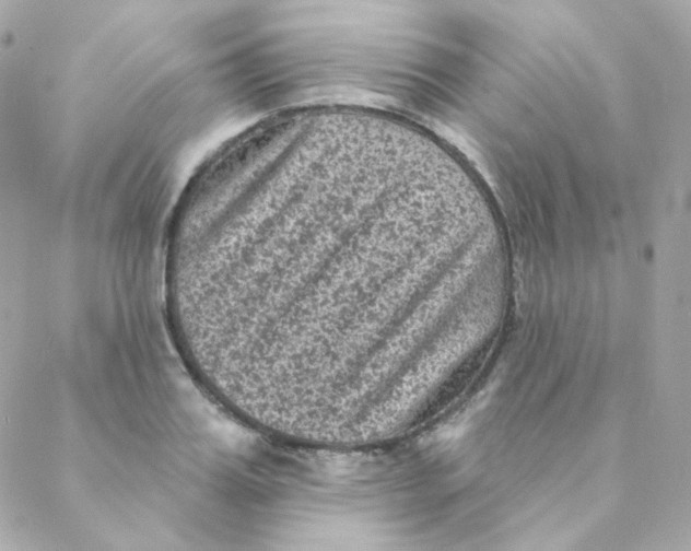 X0000088220987200706051318