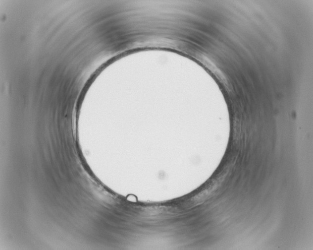 X0000088220988200706051318