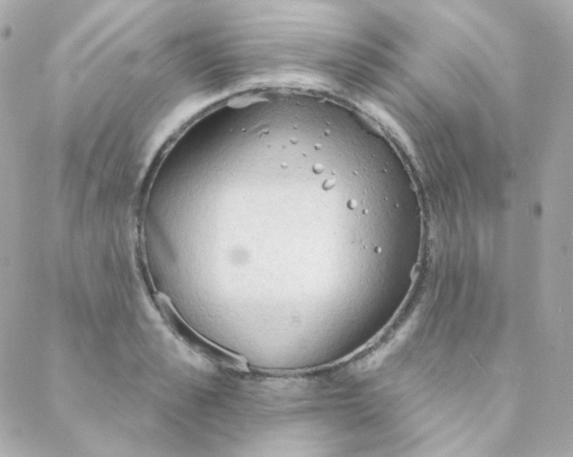 X0000088220989200706051318