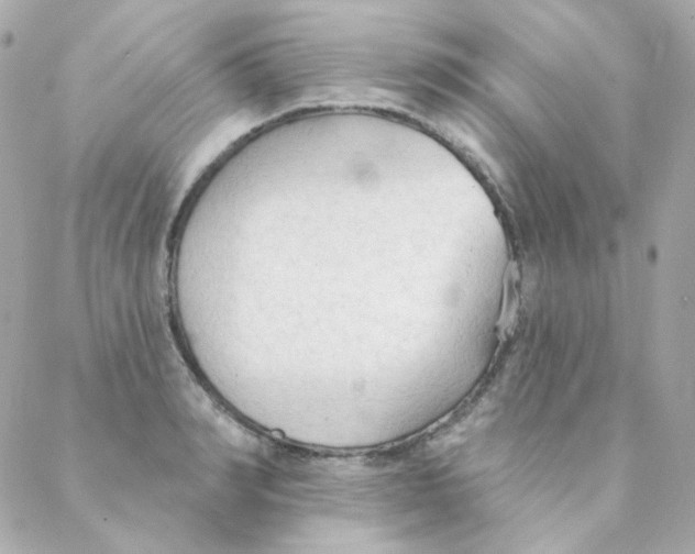 X0000088220990200706051318