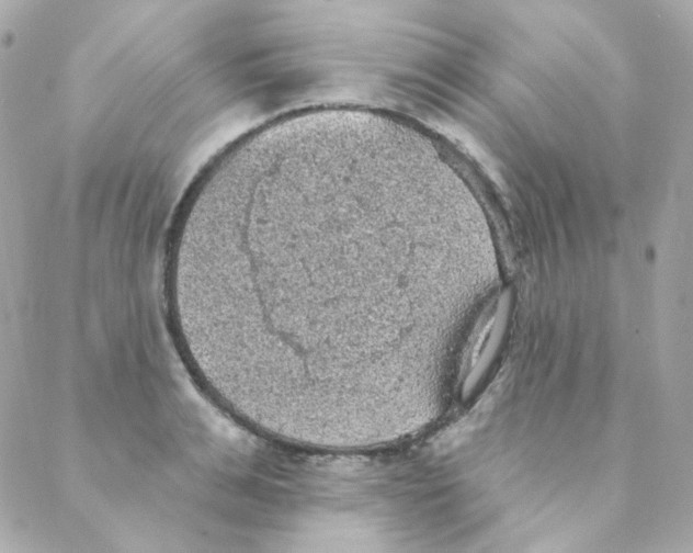 X0000088220991200706051318