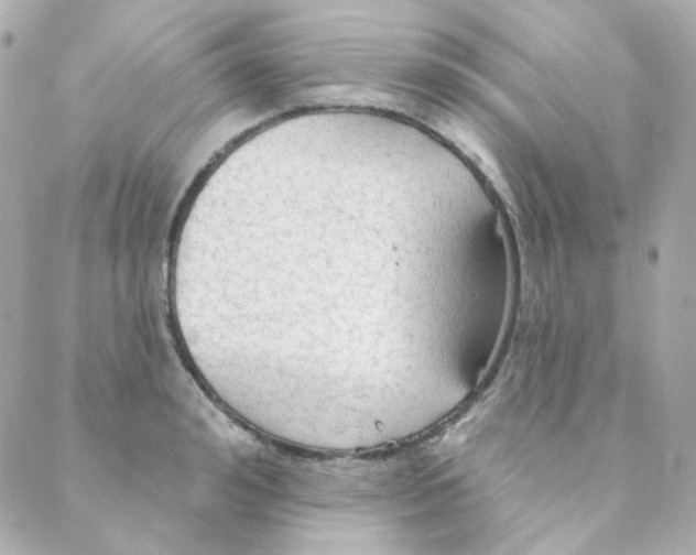 X0000088220992200706051318