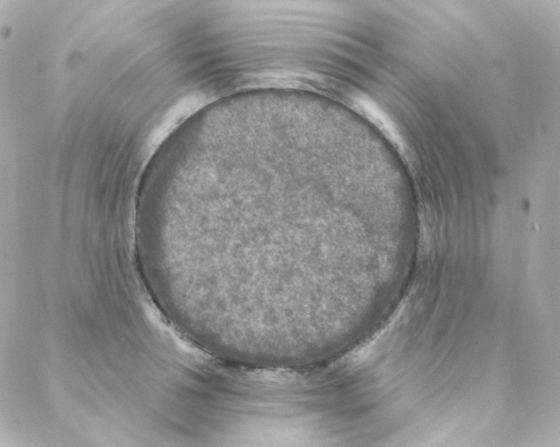 X0000088220994200706051318