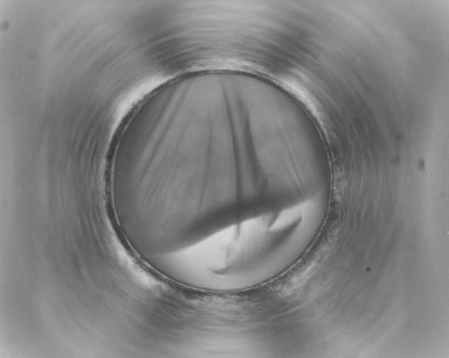 X0000088220995200706051318