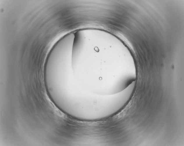 X0000088220996200706051318