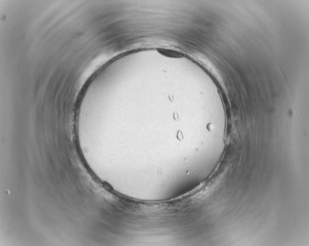 X0000088220997200706051318