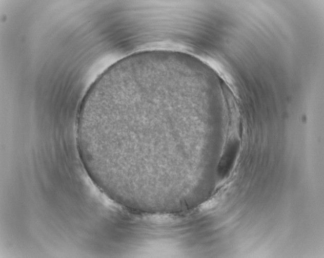 X0000088220998200706051318