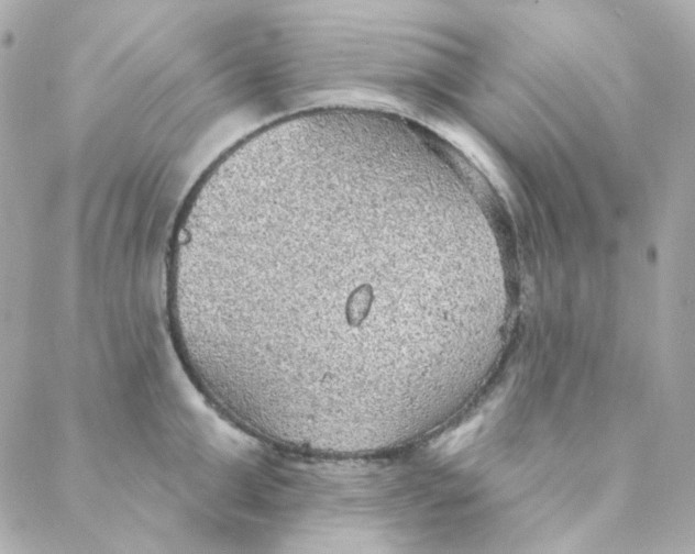 X0000088220999200706051318