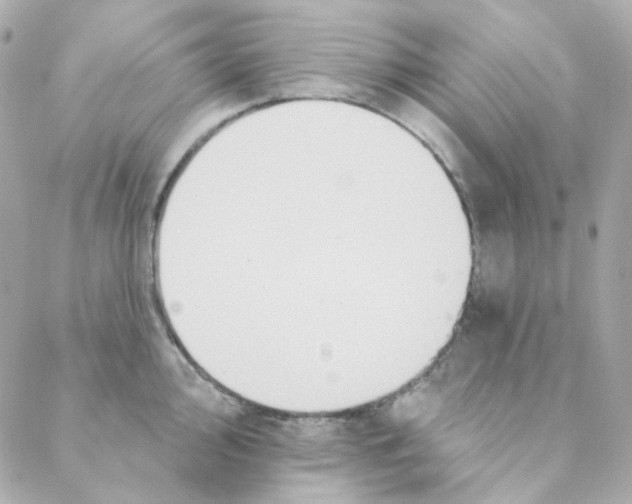 X0000088221000200706051318