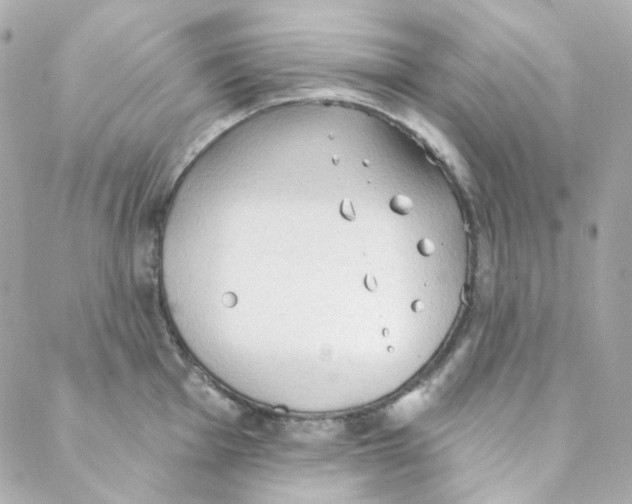 X0000088221001200706051318