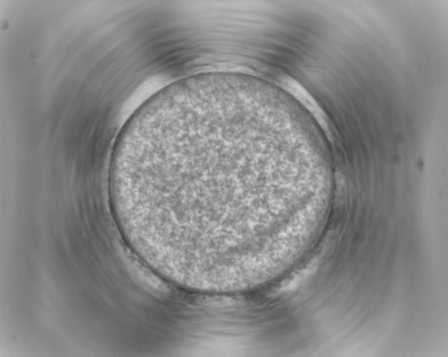 X0000088221002200706051318