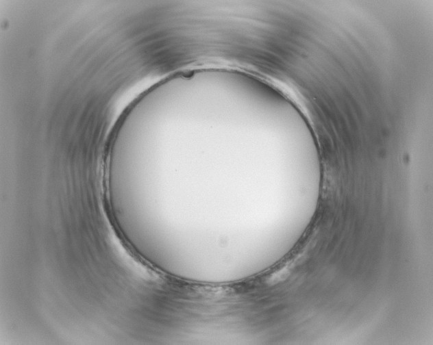 X0000088221003200706051318