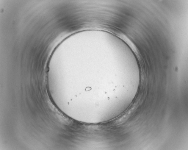 X0000088221004200706051318