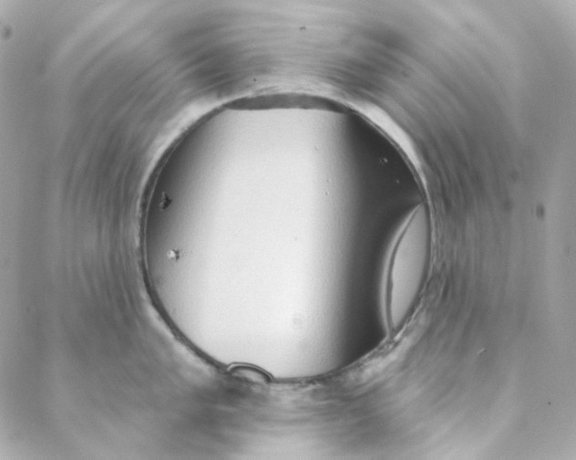 X0000088221005200706051318