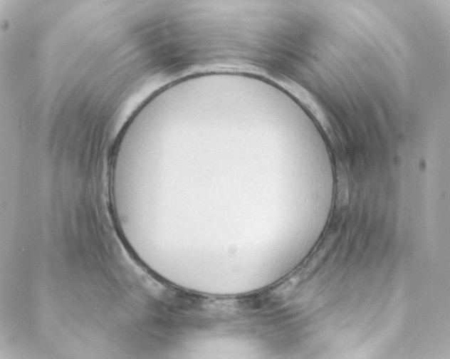 X0000088221006200706051318