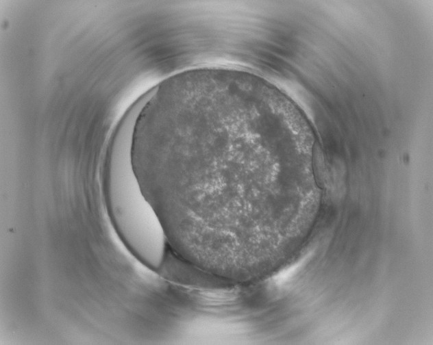 X0000088221007200706051318